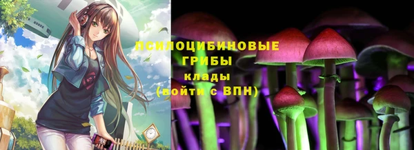 МДПВ Осинники