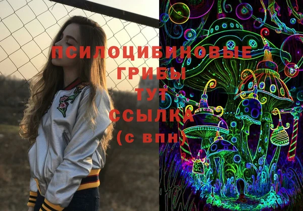 дурь Абаза