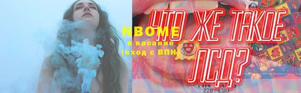 гашик Осташков
