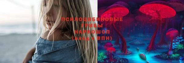 PSILOCYBIN Абинск