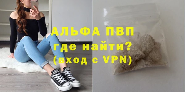 гашик Осташков
