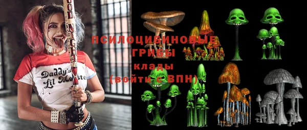 PSILOCYBIN Абинск