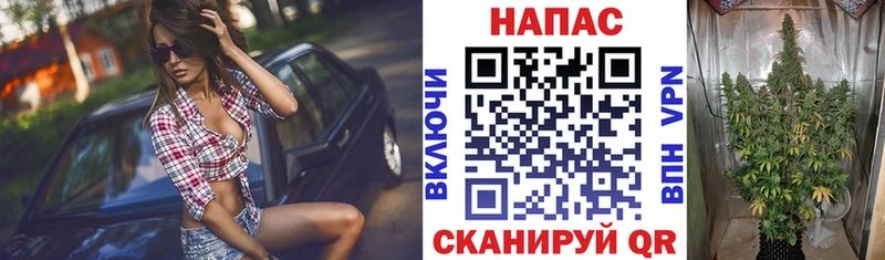 МАРИХУАНА гибрид  МЕГА как зайти  Покачи 
